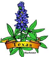 Colorful Texas Bluebonnet clipart
