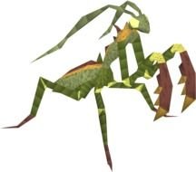 computer image of a mantis