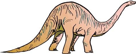 dinosaur Animal drawing