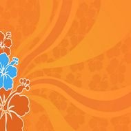 drawing of flowers on an orange background