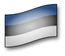 Estonia Flag drawing