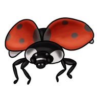 Ladybug Clip Art N78