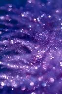 Purple Glitter drawing