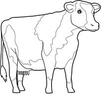 painted spotted cow in coloring book