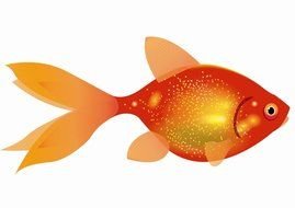 Fish as a graphic illustration