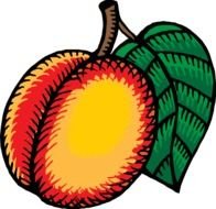 Peach Cartoon Clip Art N13