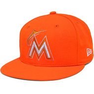 Baltimore Oriole Orange