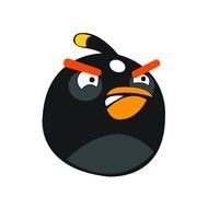 Black Angry Bird N4