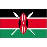 Kenya Flag N8