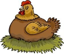 Cartoon Chicken On Nest drawing
