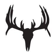 Whitetail Deer Skull Decals N5
