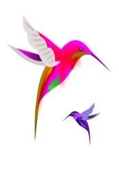 Bird Clip Art N142