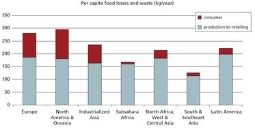 chart per capita food losses and waste