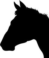 nice Horse Silhouette drawing