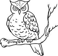 Owl Coloring Page N2