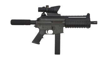 pistol Carbon 15