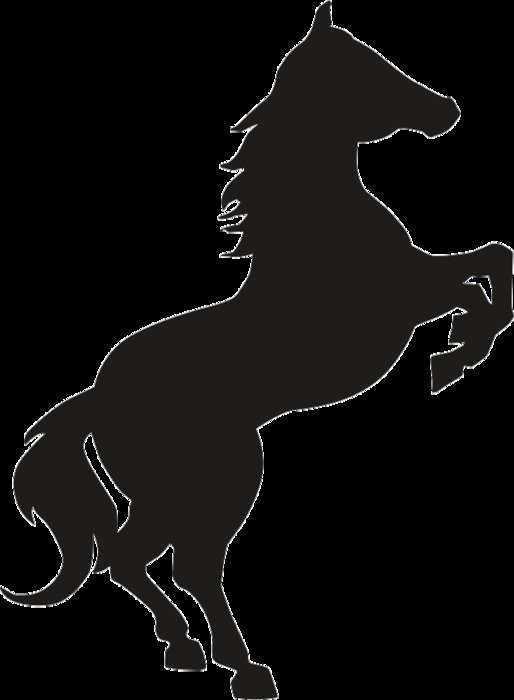 gray horse logo on a black background
