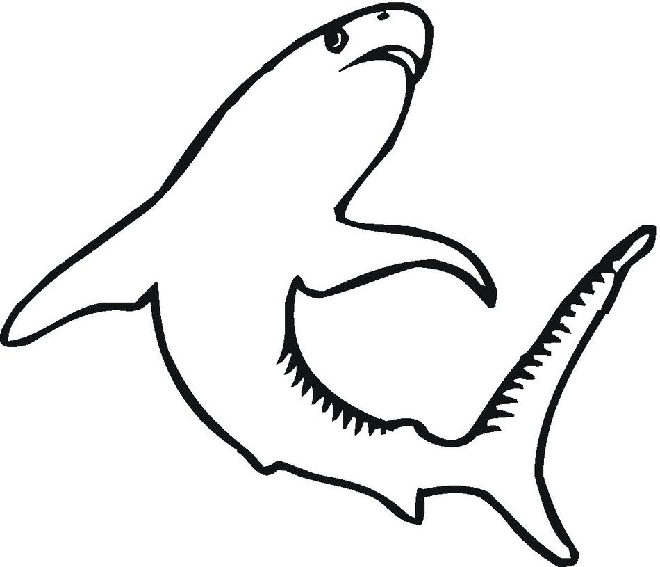 Tiger Shark Coloring Pages darwing