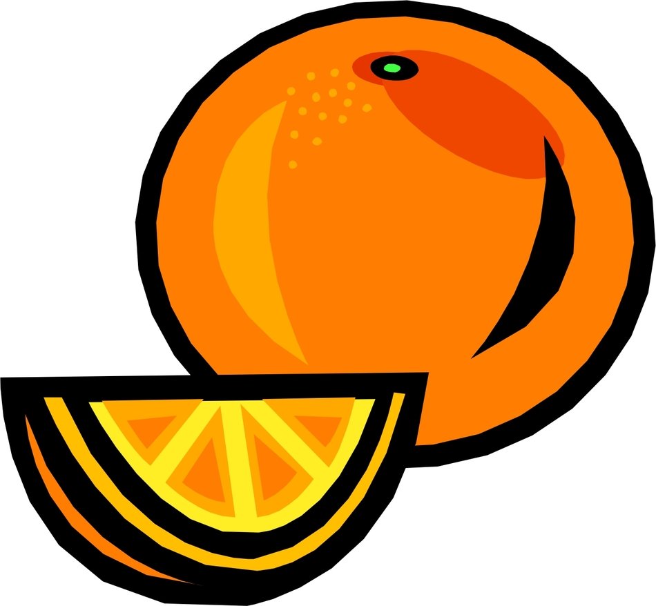 drawn round mandarin and slice