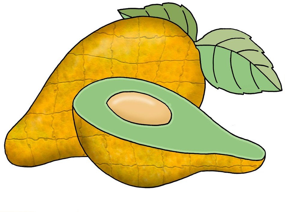 Tropical Fruit Clip Art N9
