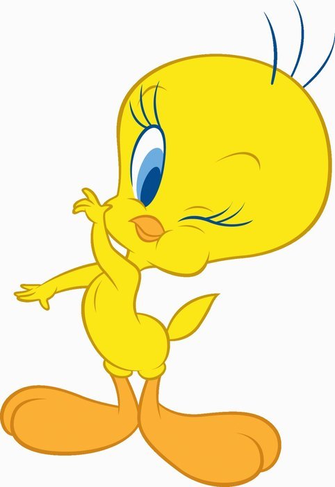 Tweety Bird Cartoon N12