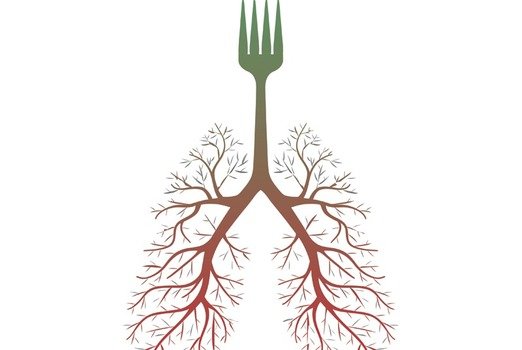 drawing of a fork with long branches