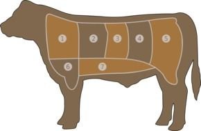 Scheme of cuts of Beef