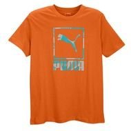 Home Back To Search Results PUMA Block Logo T Shirt Mens