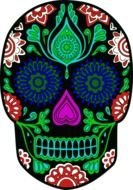 Sugar color Skull drawing
