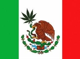 Clip art of Mexican Flag