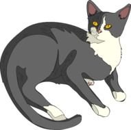 Cat Clip Art N128