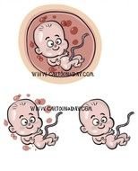 As A Baby Fetus Cartoon