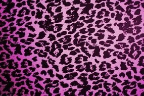 purple and black Animal Print