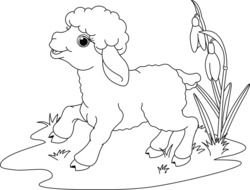Black and white drawin of the sheep in the water near the plants clipart