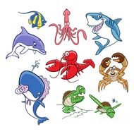 Small Fish Pictures Color