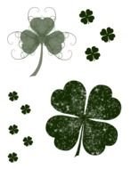 variety of shamrock in the picture