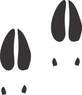 Printable Deer Tracks drawing