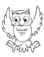 Cute Owl Coloring Pages drawing