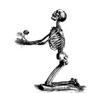 Cartoon Skeleton drawing