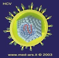 Hepatitis C Virus N2