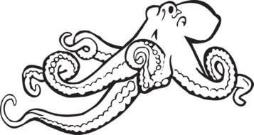 painted octopus in coloring book