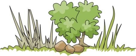 tree among stones as a graphic illustration