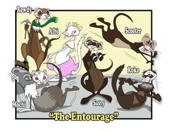 Cartoon Ferret N3