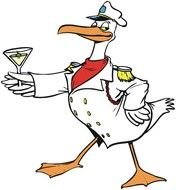 Cartoon Seagull N3
