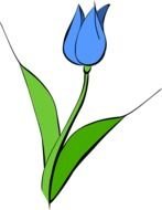 Free Tulip drawing