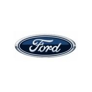 Ford Logo N20