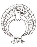 Ä°llustration of Turkey Coloring Page