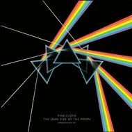 Pink Floyd Dark Side Of The Moon as a graphic illustration