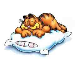 picture of Garfield sleeping on a white pillow