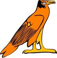 orange eagle as a graphic illustration